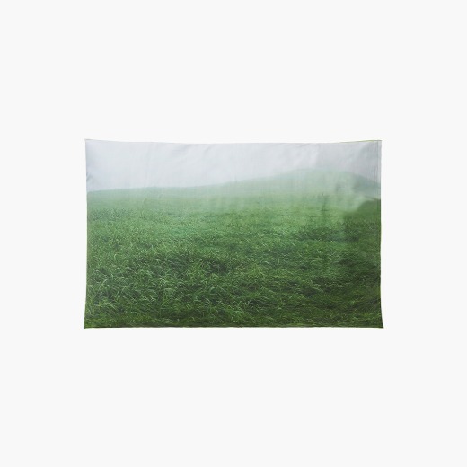 Gangwondo meadow Pillow cover